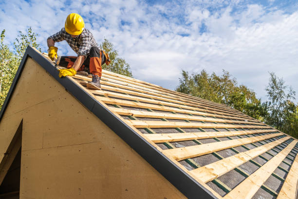Roof Gutter Cleaning in West Terre Haute, IN